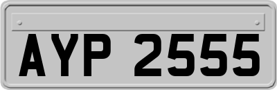AYP2555