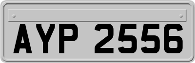 AYP2556