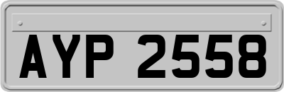 AYP2558