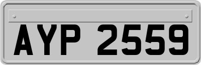 AYP2559