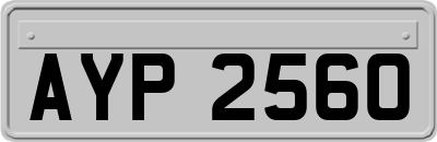 AYP2560