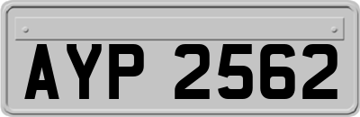 AYP2562