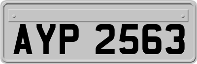 AYP2563