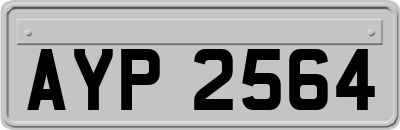 AYP2564