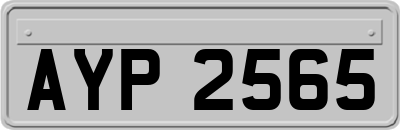 AYP2565