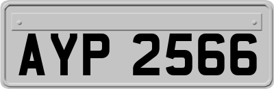 AYP2566
