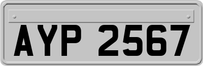AYP2567