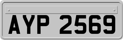AYP2569