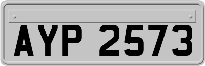 AYP2573