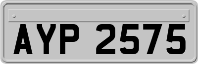 AYP2575