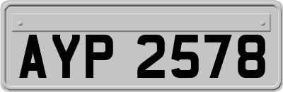 AYP2578