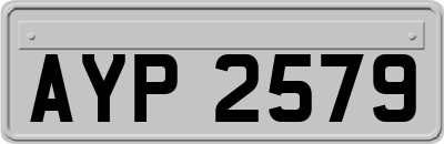 AYP2579