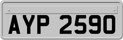 AYP2590