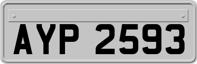 AYP2593