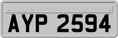 AYP2594