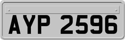 AYP2596