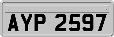 AYP2597