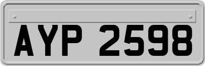 AYP2598