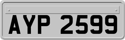 AYP2599