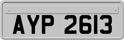 AYP2613