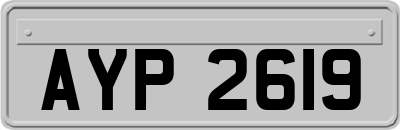 AYP2619