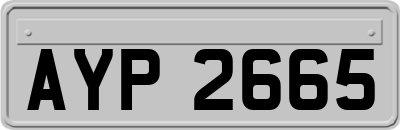 AYP2665