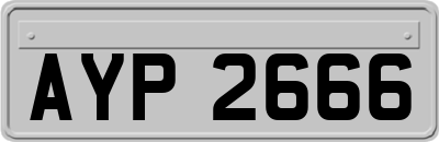 AYP2666
