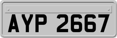AYP2667