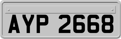 AYP2668
