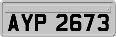 AYP2673