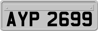 AYP2699