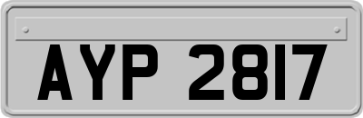 AYP2817