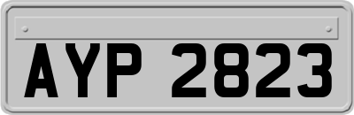 AYP2823
