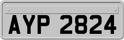 AYP2824