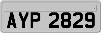 AYP2829