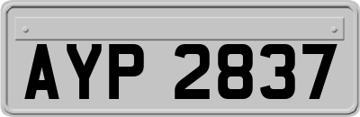 AYP2837
