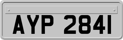 AYP2841