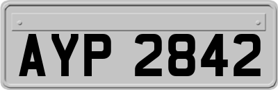 AYP2842