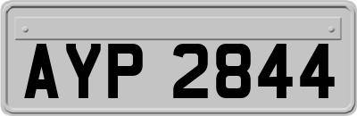 AYP2844