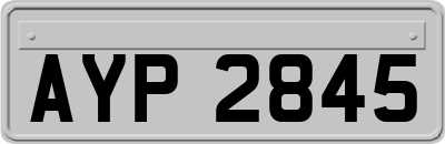AYP2845