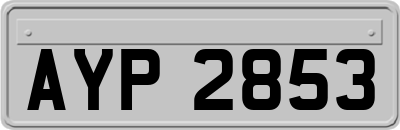 AYP2853