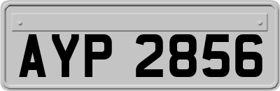 AYP2856