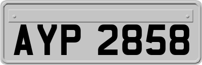 AYP2858