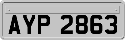 AYP2863