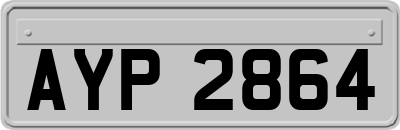 AYP2864