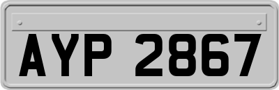 AYP2867
