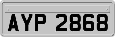 AYP2868