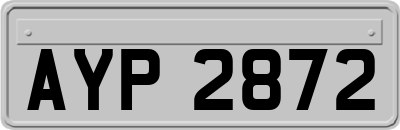 AYP2872