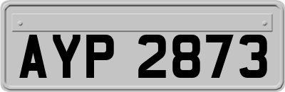 AYP2873