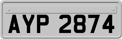 AYP2874